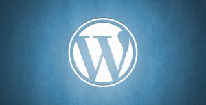 WordPress Ondersteuning